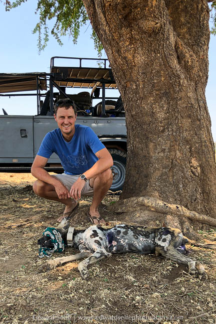 Wildlife image from photo safari with edward selfe.