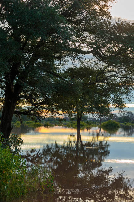 Wildlife image from photo safari with edward selfe in south luangwa national park.
