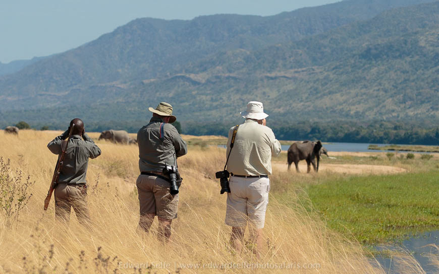 Wildlife image from photo safari with edward selfe.