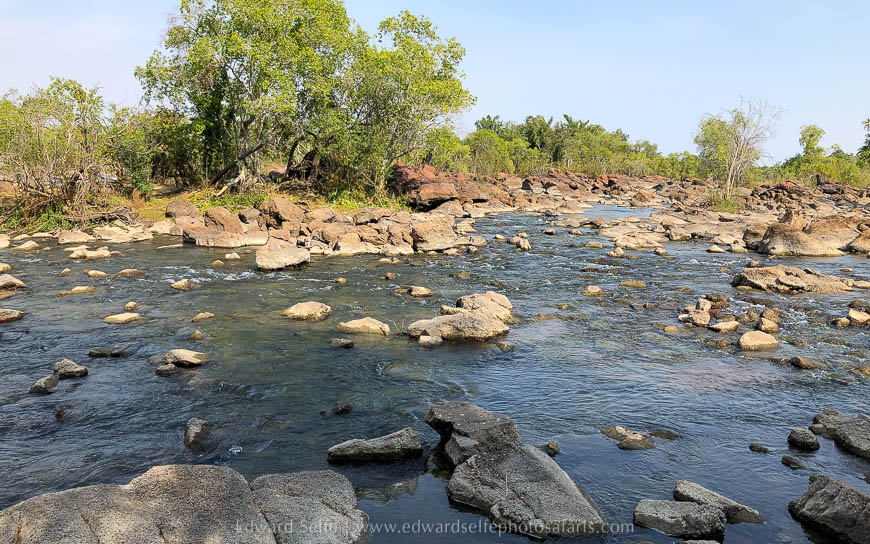 Wildlife image from photo safari with edward selfe safaris.