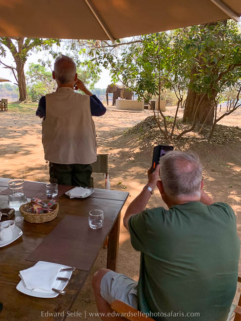 Wildlife image from a photo safari with edward selfe.