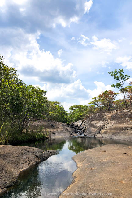 Wildlife image from photo safari with edward selfe.