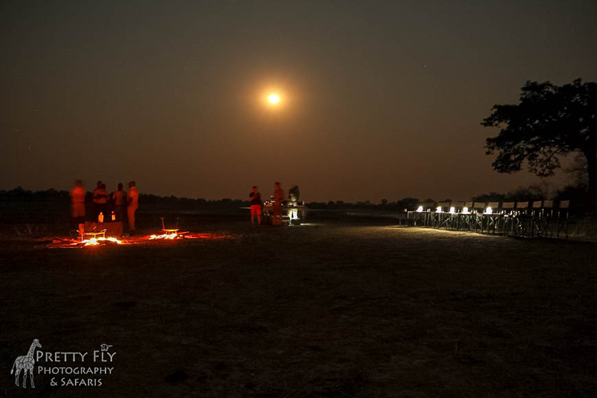 Wildlife image from photo safari with edward selfe in south luangwa national park.