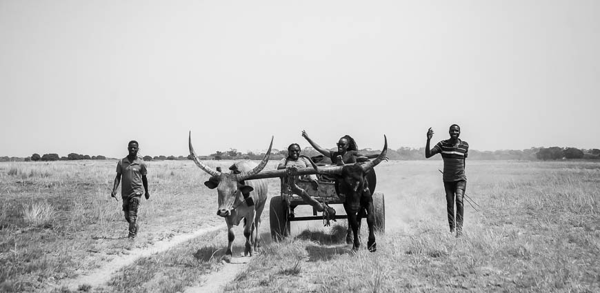 Reportage image by photographer mjose mtalika