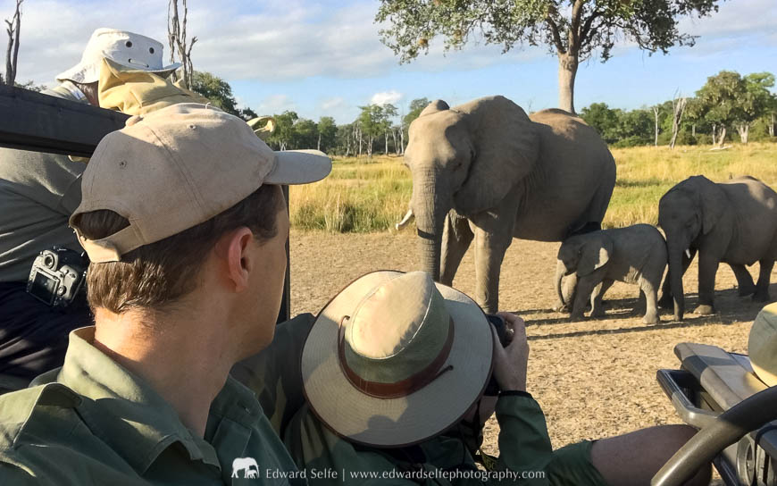 Photographing elephants during a photo safari with Edward Selfe in South Luangwa National Park
