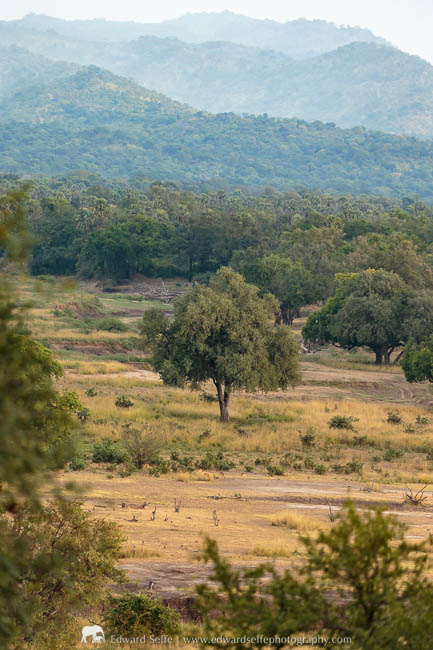 A view from the top of Chichele hill during a photo safari with Edward Selfe in South Luangwa National Park