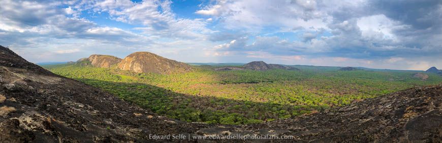 Wildlife image from photo safari with edward selfe.