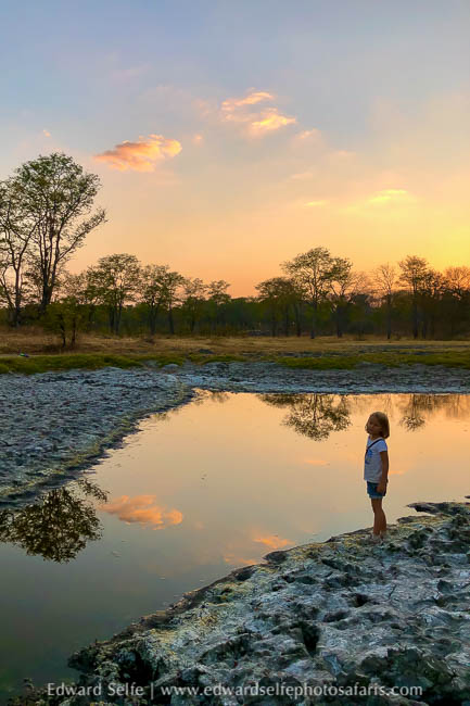 Wildlife image from photo safari with edward selfe.
