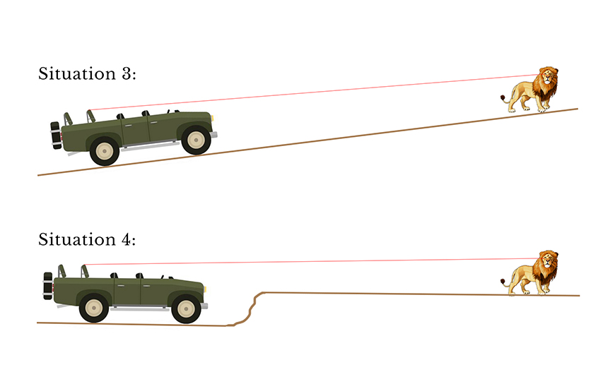 Wildlife image from photo safari with edward selfe in south luangwa national park.