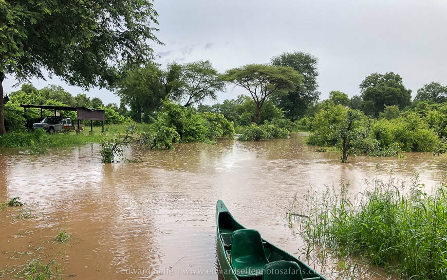 Wildlife image from photo safari with edward selfe in south luangwa national park.