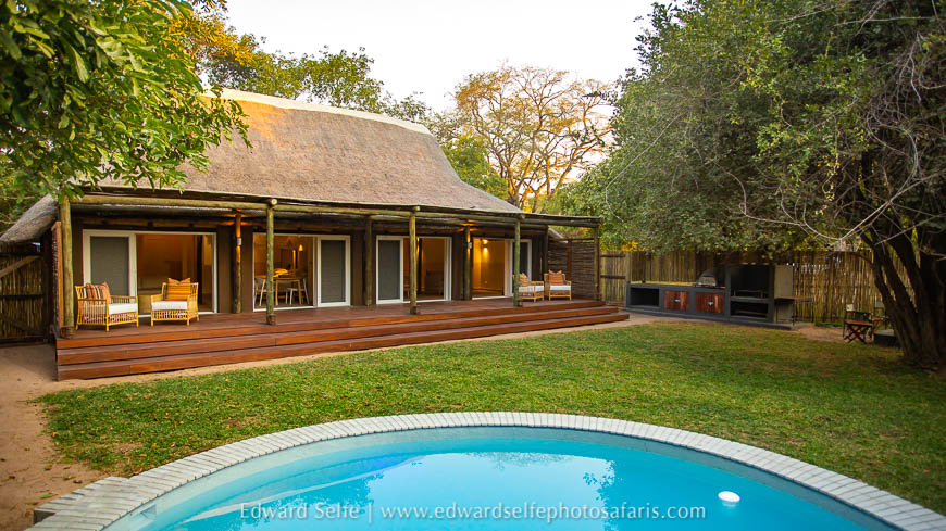 Wildlife image from photo safari with edward selfe.