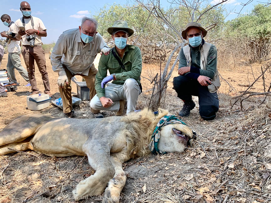 Wildlife image from a photo safari with edward selfe.