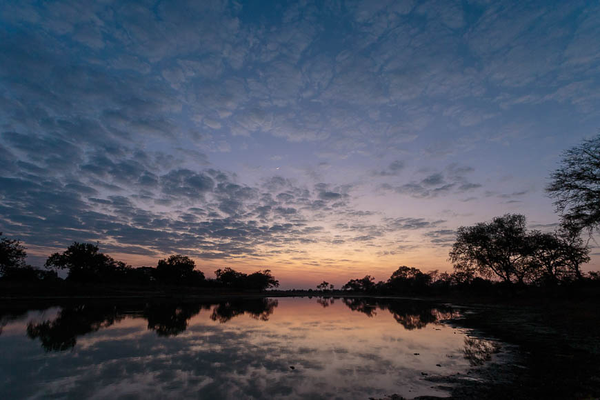 Wildlife image from photo safari with edward selfe in south luangwa national park.