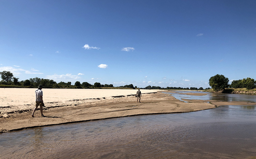 Wildlife image from photo safari with edward selfe.