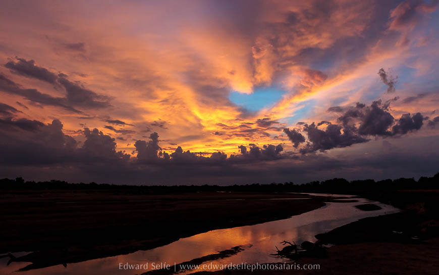 Wildlife image on photo safari with edward selfe in south luangwa national park.