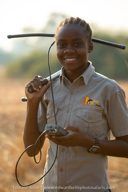 Wildlife image from photo safari with edward selfe.