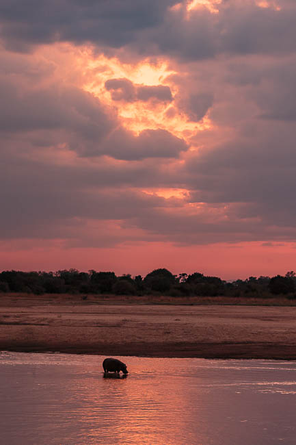 Images of wildlife from photo safari with edward selfe in the nsefu sector.
