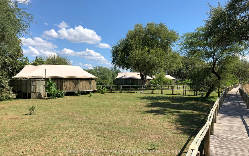 Wildlife image from photo safari with edward selfe in lower zambezi national park.