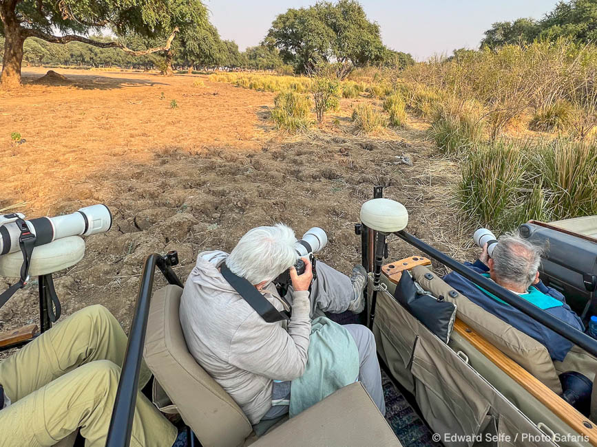 Wildlife image from Lower Zambezi NP by Edward Selfe