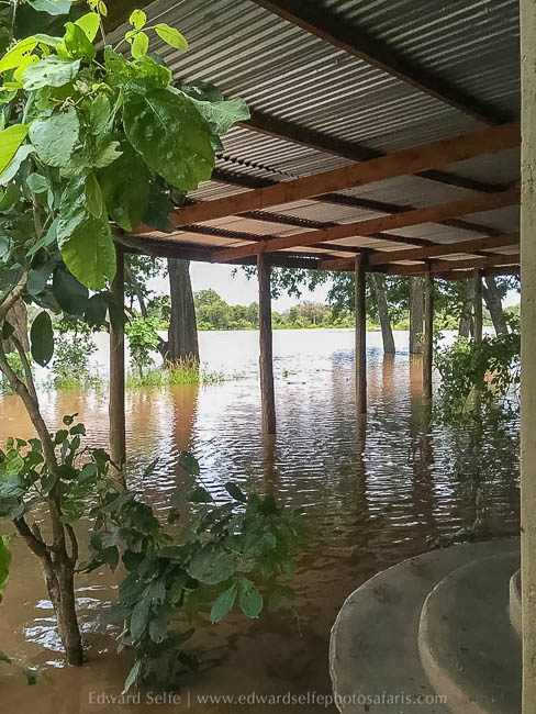 Wildlife image from photo safari with edward selfe in south luangwa national park.
