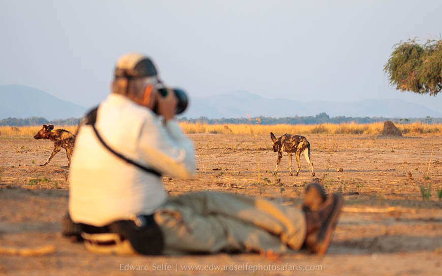 Wildlife image from photo safari with edward selfe safaris.