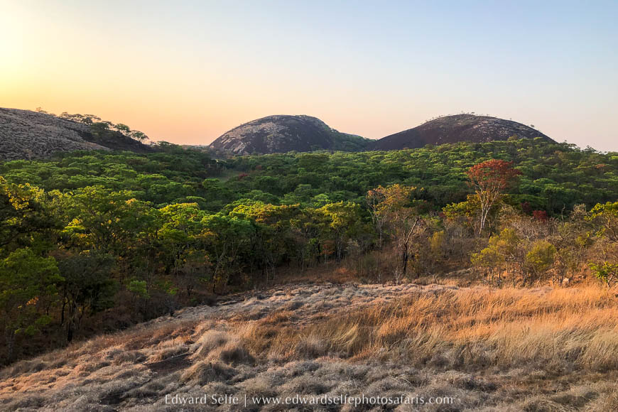 Wildlife image from photo safari with edward selfe.