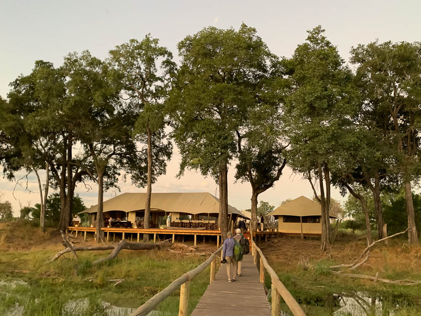 Images of wildlife from photo safari with edward selfe