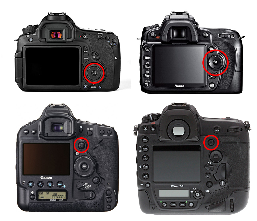 Four-way controllers on cameras photo safari with edward selfe in south luangwa national park.