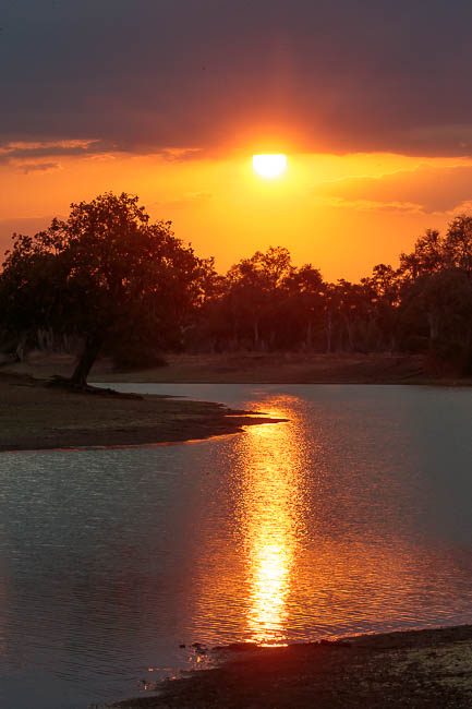 Images of wildlife from photo safari with edward selfe in the nsefu sector.