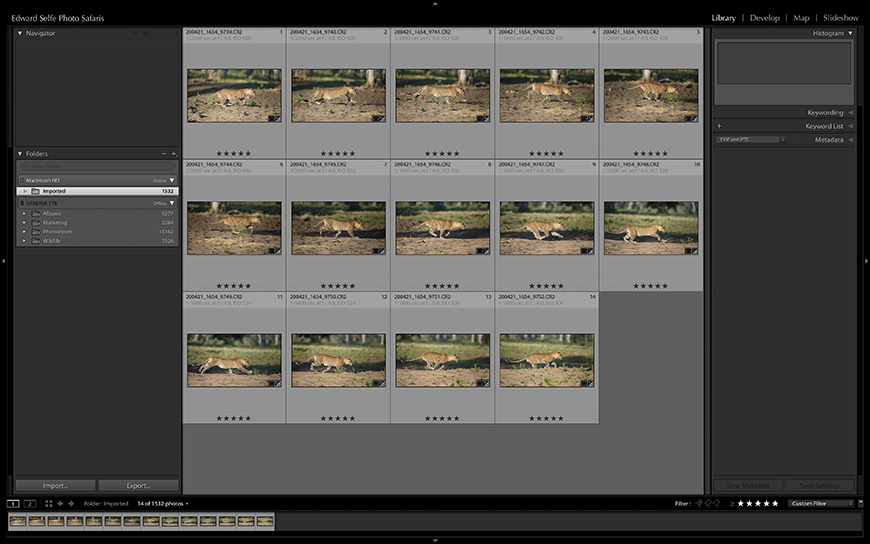 Wildlife image from photo safari with edward selfe.