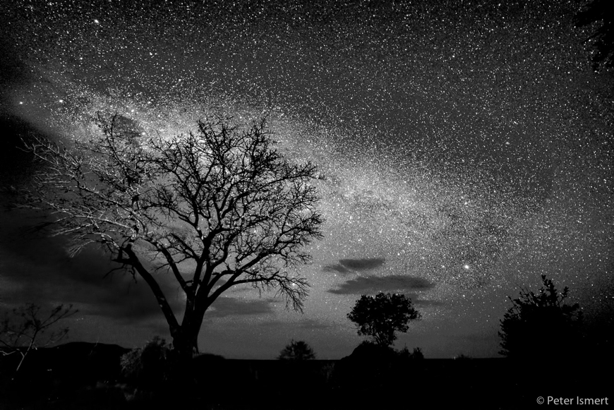 A night sky in South Luangwa National Park.