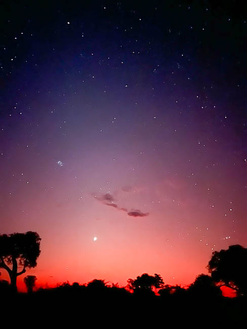 Images of wildlife from photo safari with edward selfe in the south luangwa np.