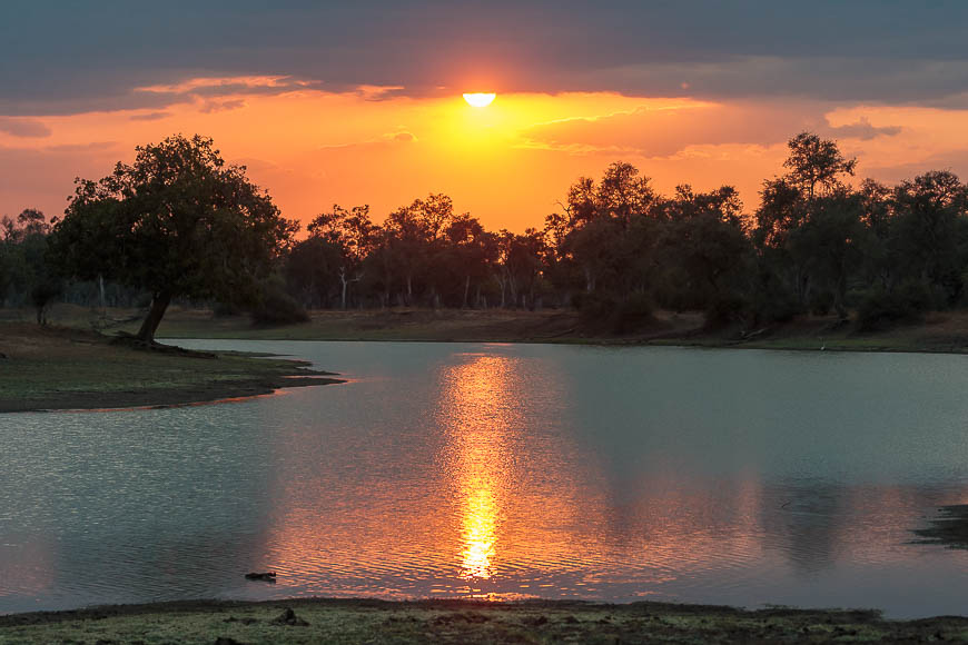 Images of wildlife from photo safari with edward selfe in the nsefu sector.