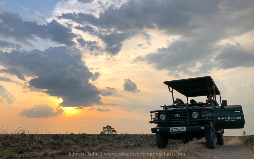 Wildlife image from photo safari with edward selfe safaris.