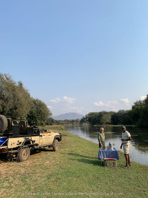 Wildlife image from a photo safari with edward selfe.