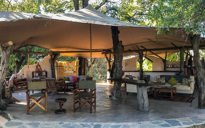 Wildlife image from photo safari with edward selfe safaris.