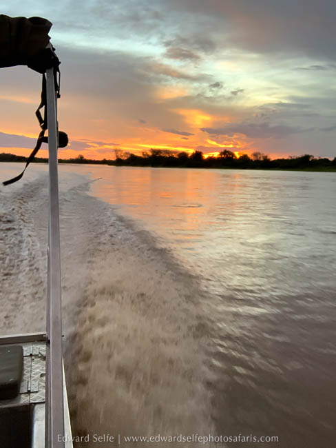 Wildlife image from the flooded luangwa by edward selfe.