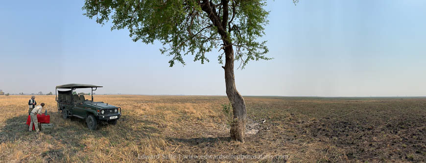 Wildlife image from a photo safari with edward selfe.