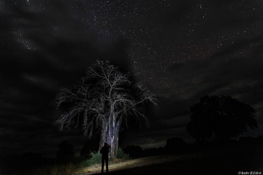 Andre erlichs image of wildlife from photo safari with edward selfe in zambia.