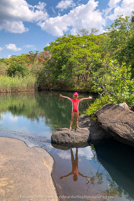 Wildlife image from photo safari with edward selfe.