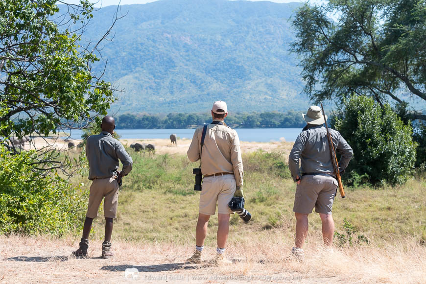 Exploring the river banks in Mana Pools National Park.