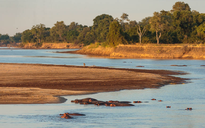 Images of wildlife from photo safari with edward selfe in south luangwa.