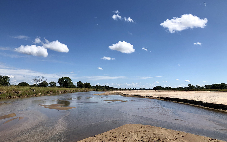 Wildlife image from photo safari with edward selfe.