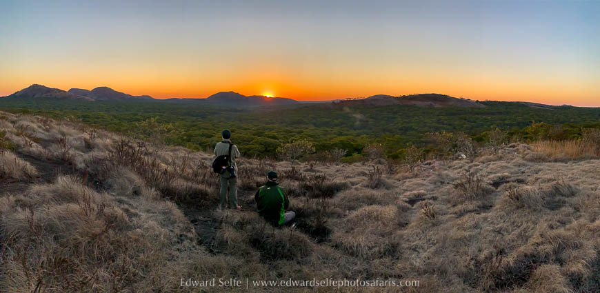 Wildlife image from a photo safari with edward selfe.