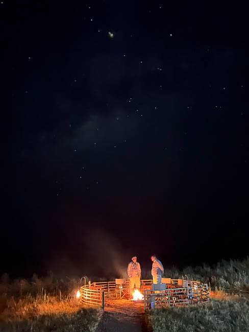 Images of wildlife from photo safari with edward selfe in zambia.
