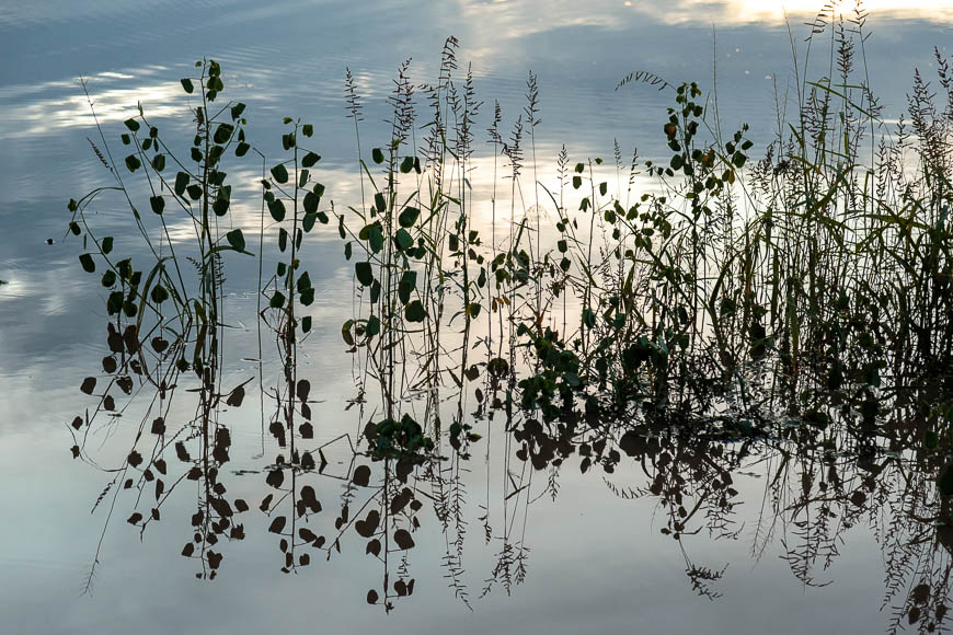 Wildlife image from photo safari with edward selfe in south luangwa national park.
