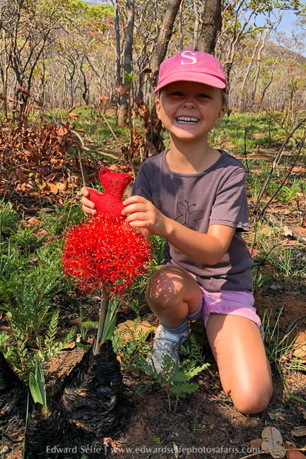 Wildlife image from photo safari with edward selfe.