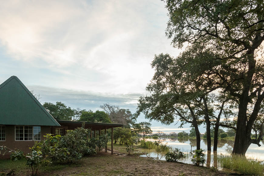 Wildlife image from photo safari with edward selfe in south luangwa national park.