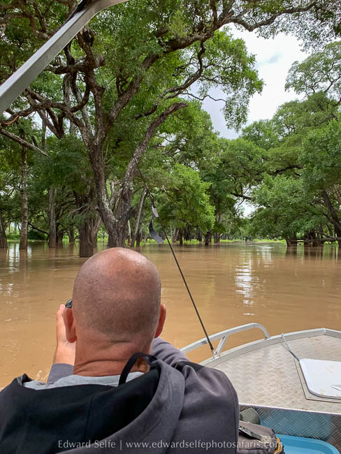 Wildlife image from the flooded luangwa by edward selfe.