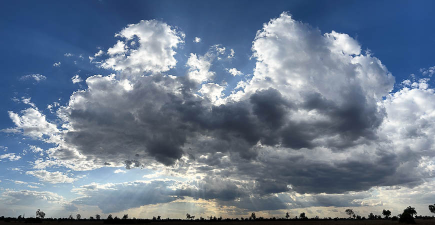 Images of wildlife from photo safari with edward selfe in the south luangwa np.